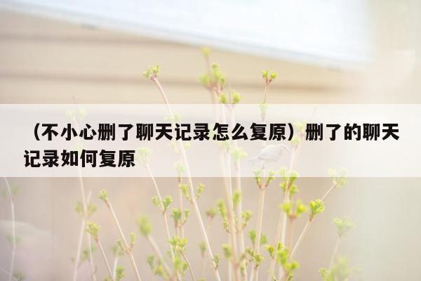 （不小心删了聊天记录怎么复原）删了的聊天记录如何复原