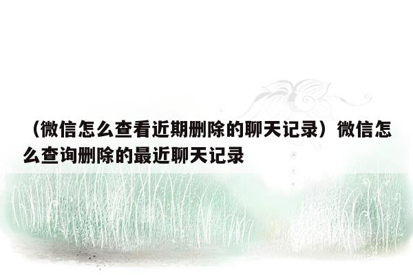 （微信怎么查看近期删除的聊天记录）微信怎么查询删除的最近聊天记录