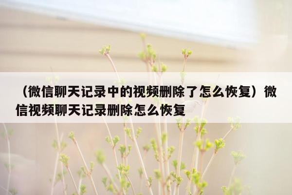 （微信聊天记录中的视频删除了怎么恢复）微信视频聊天记录删除怎么恢复