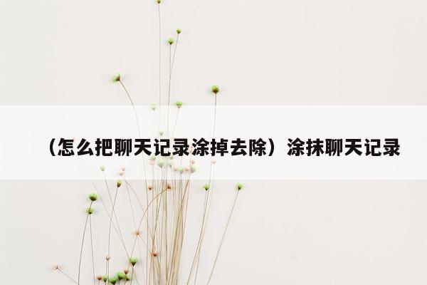 （怎么把聊天记录涂掉去除）涂抹聊天记录