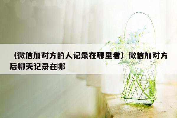 （微信加对方的人记录在哪里看）微信加对方后聊天记录在哪