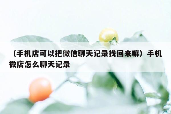 （手机店可以把微信聊天记录找回来嘛）手机微店怎么聊天记录