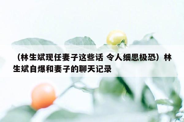 （林生斌现任妻子这些话 令人细思极恐）林生斌自爆和妻子的聊天记录