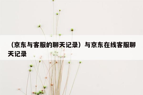 （京东与客服的聊天记录）与京东在线客服聊天记录