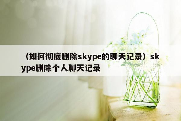 （如何彻底删除skype的聊天记录）skype删除个人聊天记录