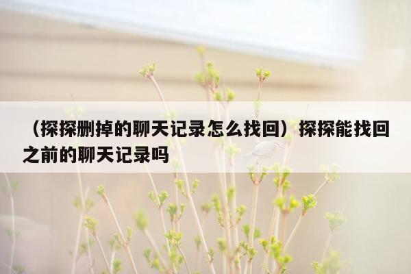 （探探删掉的聊天记录怎么找回）探探能找回之前的聊天记录吗