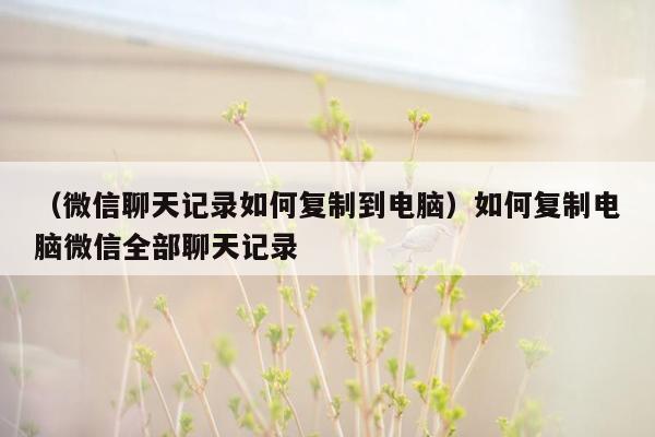 （微信聊天记录如何复制到电脑）如何复制电脑微信全部聊天记录