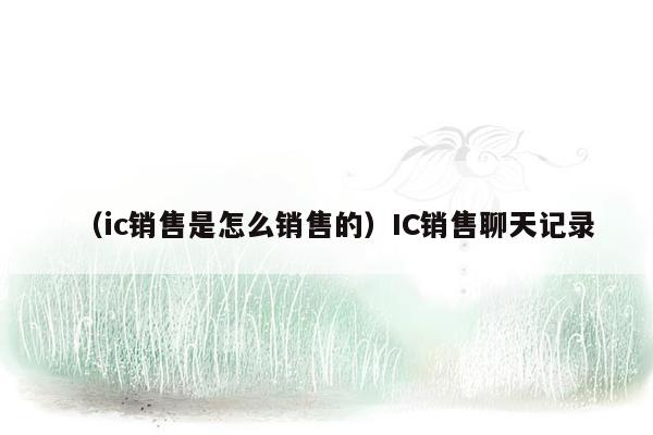 （ic销售是怎么销售的）IC销售聊天记录