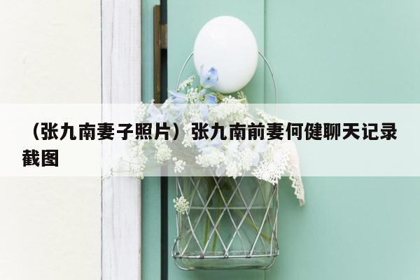 （张九南妻子照片）张九南前妻何健聊天记录截图