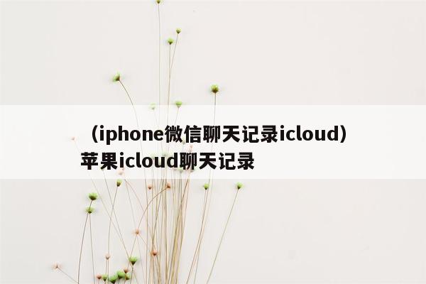 （iphone微信聊天记录icloud）苹果icloud聊天记录