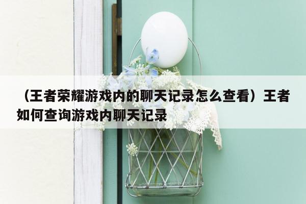 （王者荣耀游戏内的聊天记录怎么查看）王者如何查询游戏内聊天记录