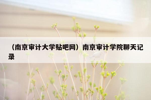 （南京审计大学贴吧网）南京审计学院聊天记录