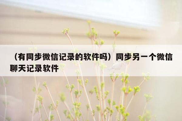 （有同步微信记录的软件吗）同步另一个微信聊天记录软件