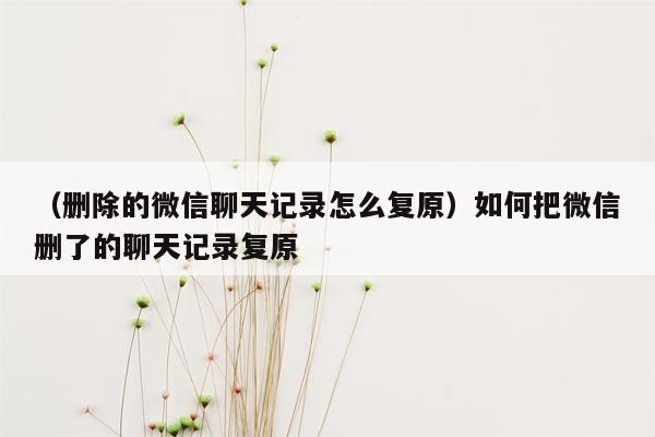 （删除的微信聊天记录怎么复原）如何把微信删了的聊天记录复原