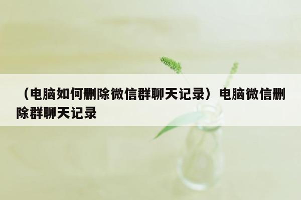 （电脑如何删除微信群聊天记录）电脑微信删除群聊天记录