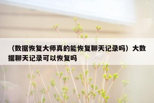 （数据恢复大师真的能恢复聊天记录吗）大数据聊天记录可以恢复吗