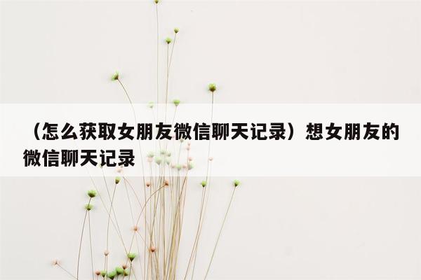 （怎么获取女朋友微信聊天记录）想女朋友的微信聊天记录