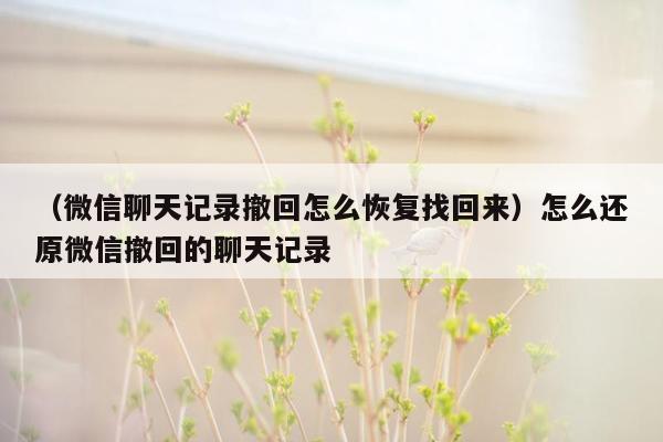 （微信聊天记录撤回怎么恢复找回来）怎么还原微信撤回的聊天记录