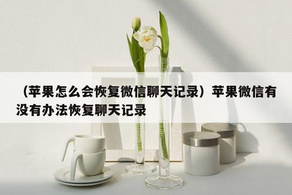 （苹果怎么会恢复微信聊天记录）苹果微信有没有办法恢复聊天记录