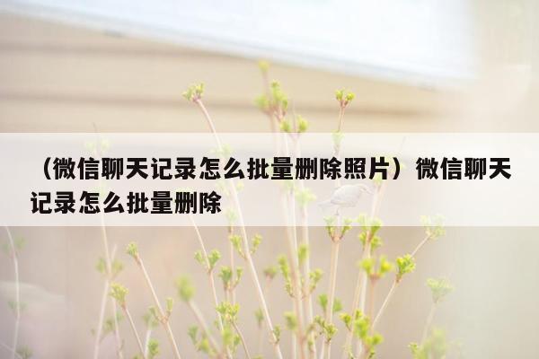 （微信聊天记录怎么批量删除照片）微信聊天记录怎么批量删除