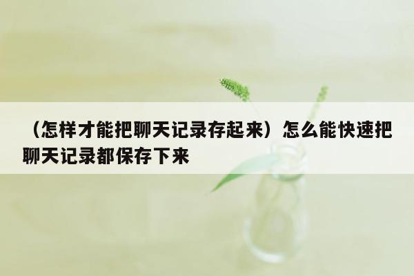 （怎样才能把聊天记录存起来）怎么能快速把聊天记录都保存下来