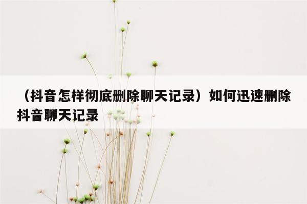 （抖音怎样彻底删除聊天记录）如何迅速删除抖音聊天记录