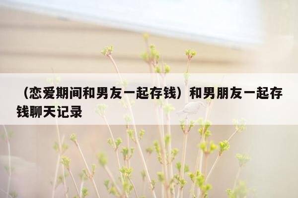 （恋爱期间和男友一起存钱）和男朋友一起存钱聊天记录