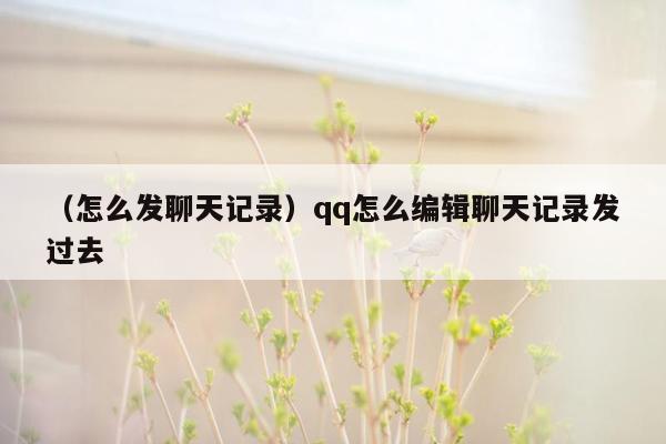 （怎么发聊天记录）qq怎么编辑聊天记录发过去