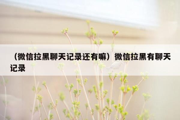 （微信拉黑聊天记录还有嘛）微信拉黑有聊天记录