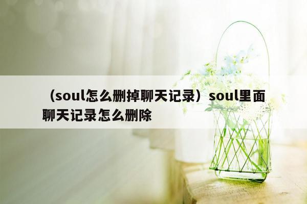 （soul怎么删掉聊天记录）soul里面聊天记录怎么删除