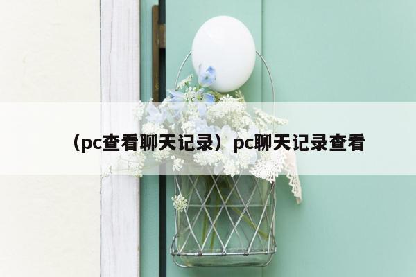 （pc查看聊天记录）pc聊天记录查看