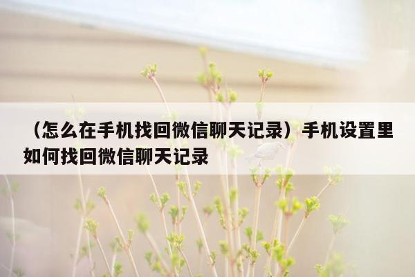 （怎么在手机找回微信聊天记录）手机设置里如何找回微信聊天记录