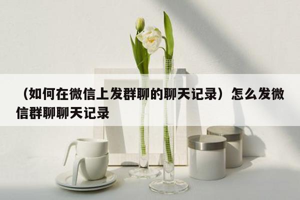 （如何在微信上发群聊的聊天记录）怎么发微信群聊聊天记录