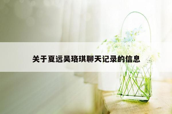 关于夏远吴珞琪聊天记录的信息