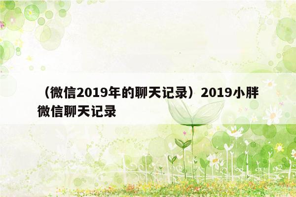 （微信2019年的聊天记录）2019小胖微信聊天记录