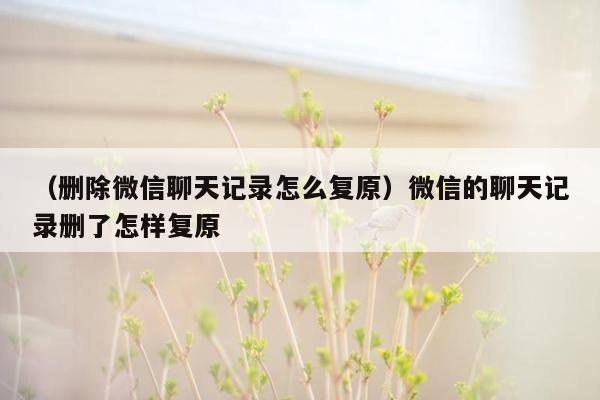 （删除微信聊天记录怎么复原）微信的聊天记录删了怎样复原