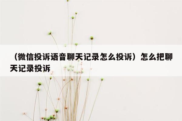 （微信投诉语音聊天记录怎么投诉）怎么把聊天记录投诉