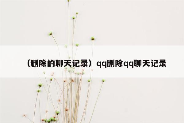 （删除的聊天记录）qq删除qq聊天记录