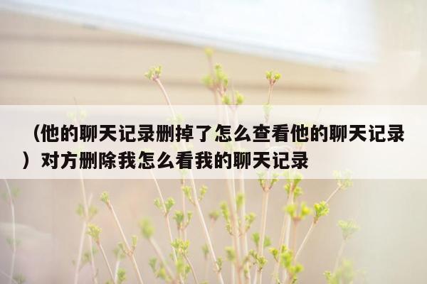 （他的聊天记录删掉了怎么查看他的聊天记录）对方删除我怎么看我的聊天记录