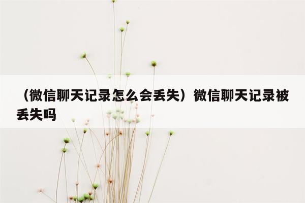 （微信聊天记录怎么会丢失）微信聊天记录被丢失吗