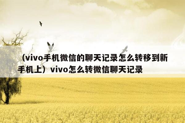 （vivo手机微信的聊天记录怎么转移到新手机上）vivo怎么转微信聊天记录