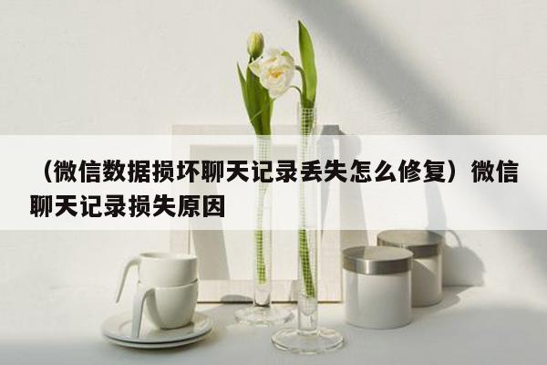 （微信数据损坏聊天记录丢失怎么修复）微信聊天记录损失原因