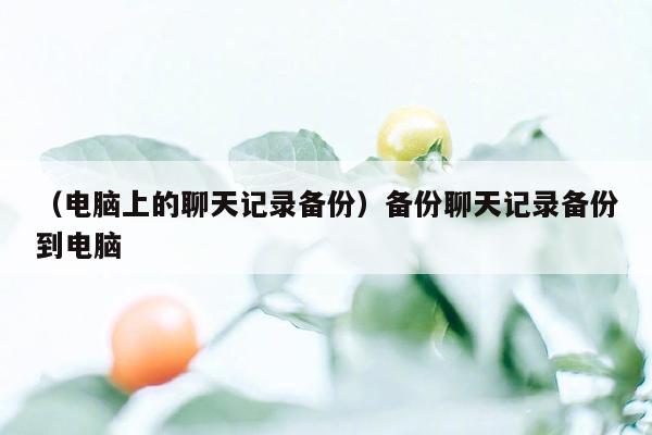 （电脑上的聊天记录备份）备份聊天记录备份到电脑