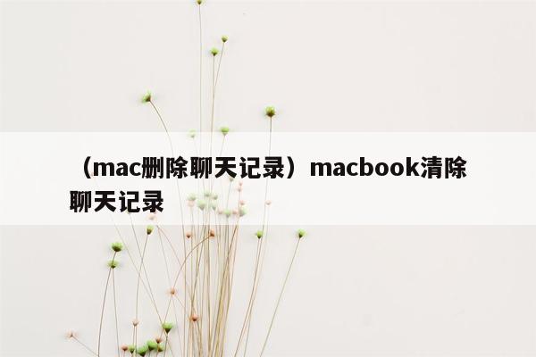 （mac删除聊天记录）macbook清除聊天记录