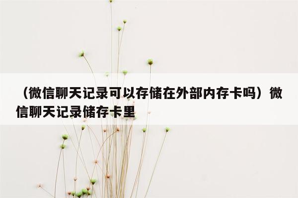 （微信聊天记录可以存储在外部内存卡吗）微信聊天记录储存卡里