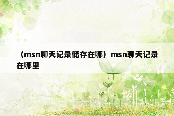 （msn聊天记录储存在哪）msn聊天记录在哪里