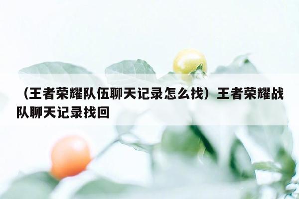 （王者荣耀队伍聊天记录怎么找）王者荣耀战队聊天记录找回