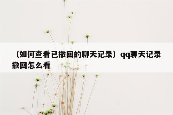 （如何查看已撤回的聊天记录）qq聊天记录撤回怎么看