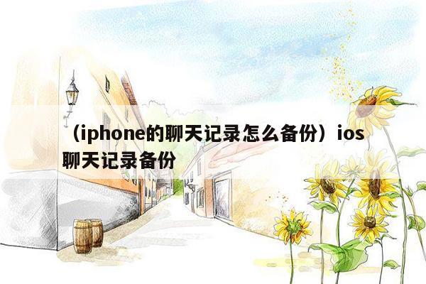 （iphone的聊天记录怎么备份）ios聊天记录备份