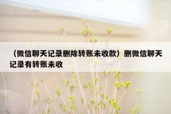 （微信聊天记录删除转账未收款）删微信聊天记录有转账未收